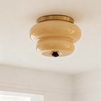 Curvaceous Modern Glass & Wood Ceiling Light