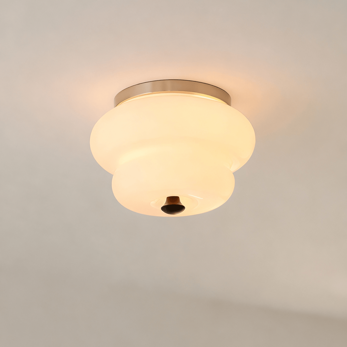 Curvaceous Modern Glass & Wood Ceiling Light