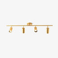 Cacaryra Modern Minimalist Brass Ceiling Lamp