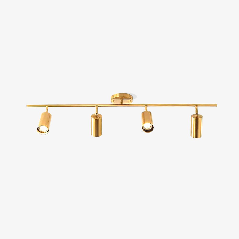 Cacaryra Modern Minimalist Brass Ceiling Lamp