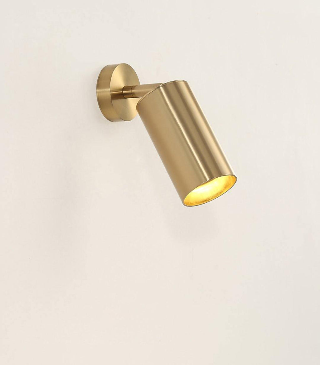 Cacaryra Modern Minimalist Brass Ceiling Lamp