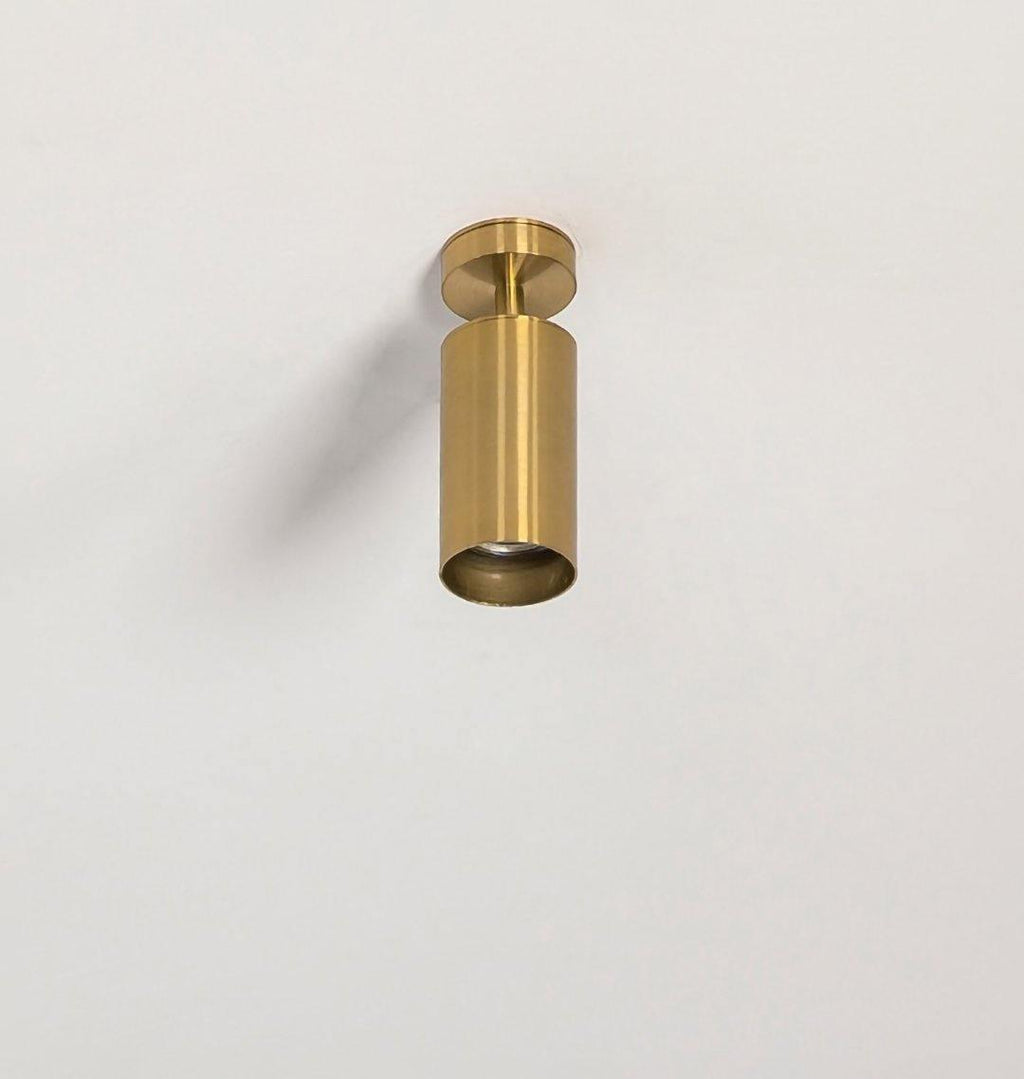 Cacaryra Modern Minimalist Brass Ceiling Lamp