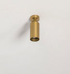 Cacaryra Modern Minimalist Brass Ceiling Lamp