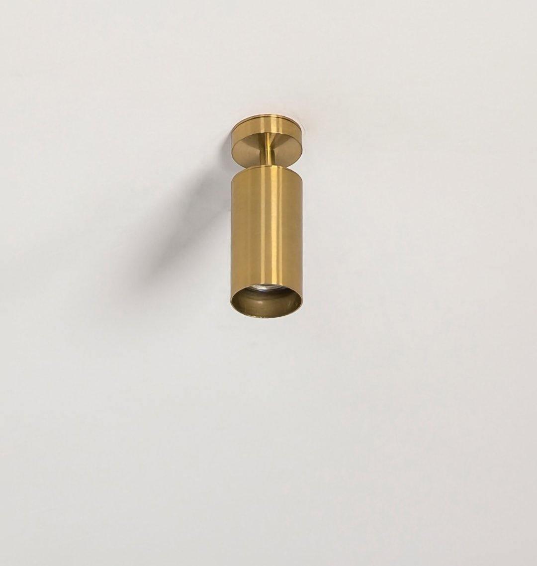 Cacaryra Modern Minimalist Brass Ceiling Lamp
