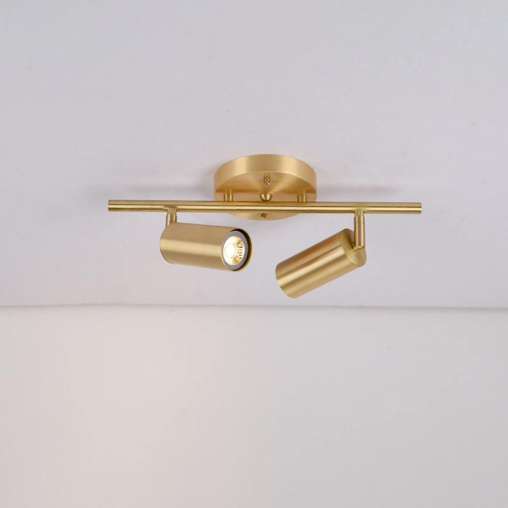Cacaryra Modern Minimalist Brass Ceiling Lamp
