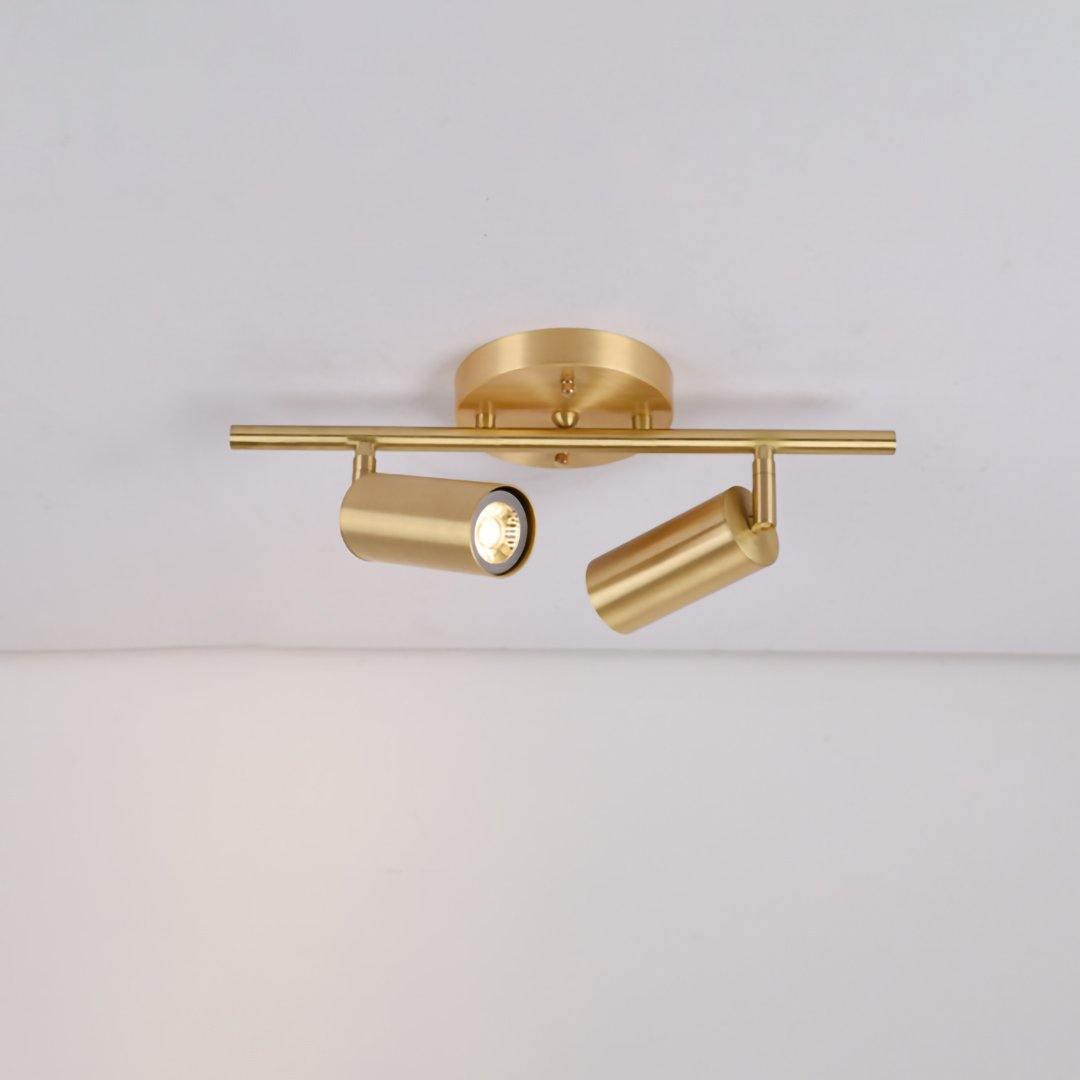 Cacaryra Modern Minimalist Brass Ceiling Lamp