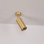 Cacaryra Modern Minimalist Brass Ceiling Lamp