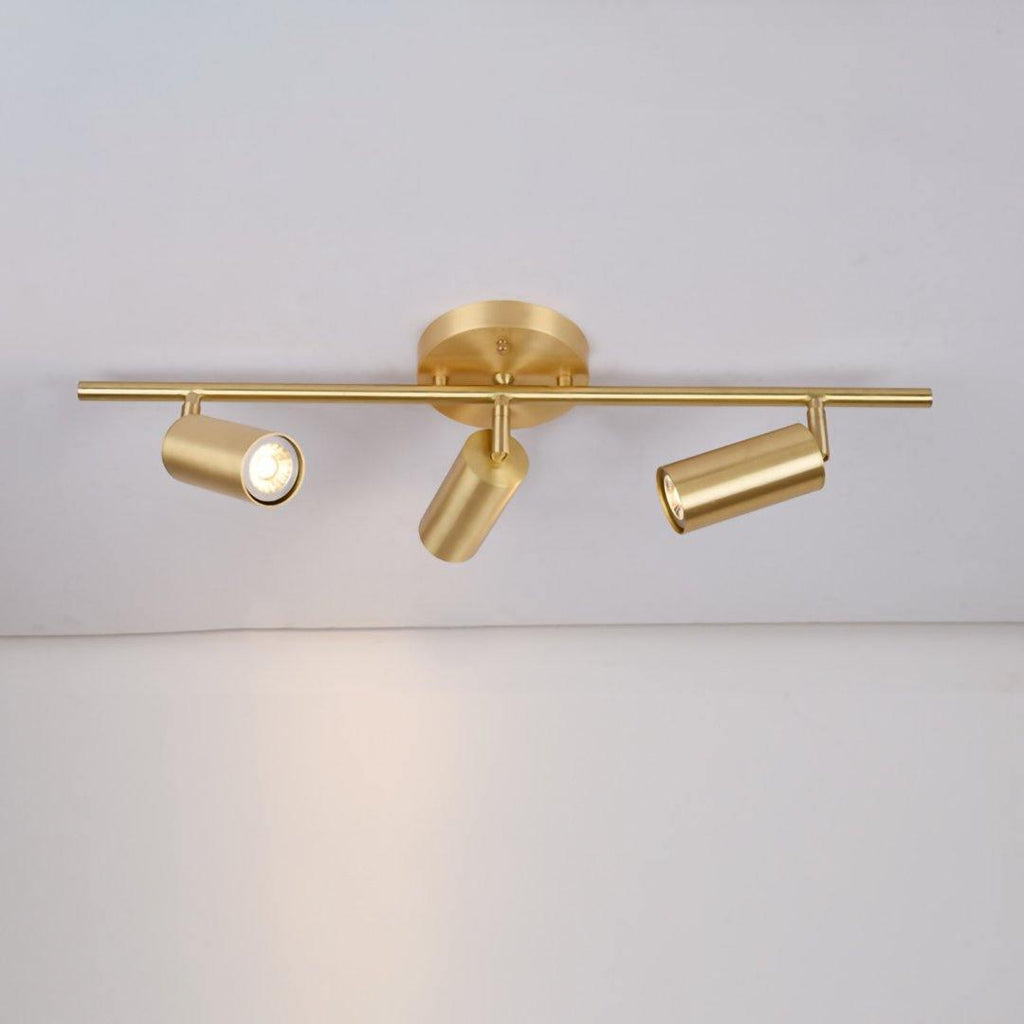 Cacaryra Modern Minimalist Brass Ceiling Lamp