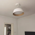 Delta Pendant Lamp Low Profile Wood Interior
