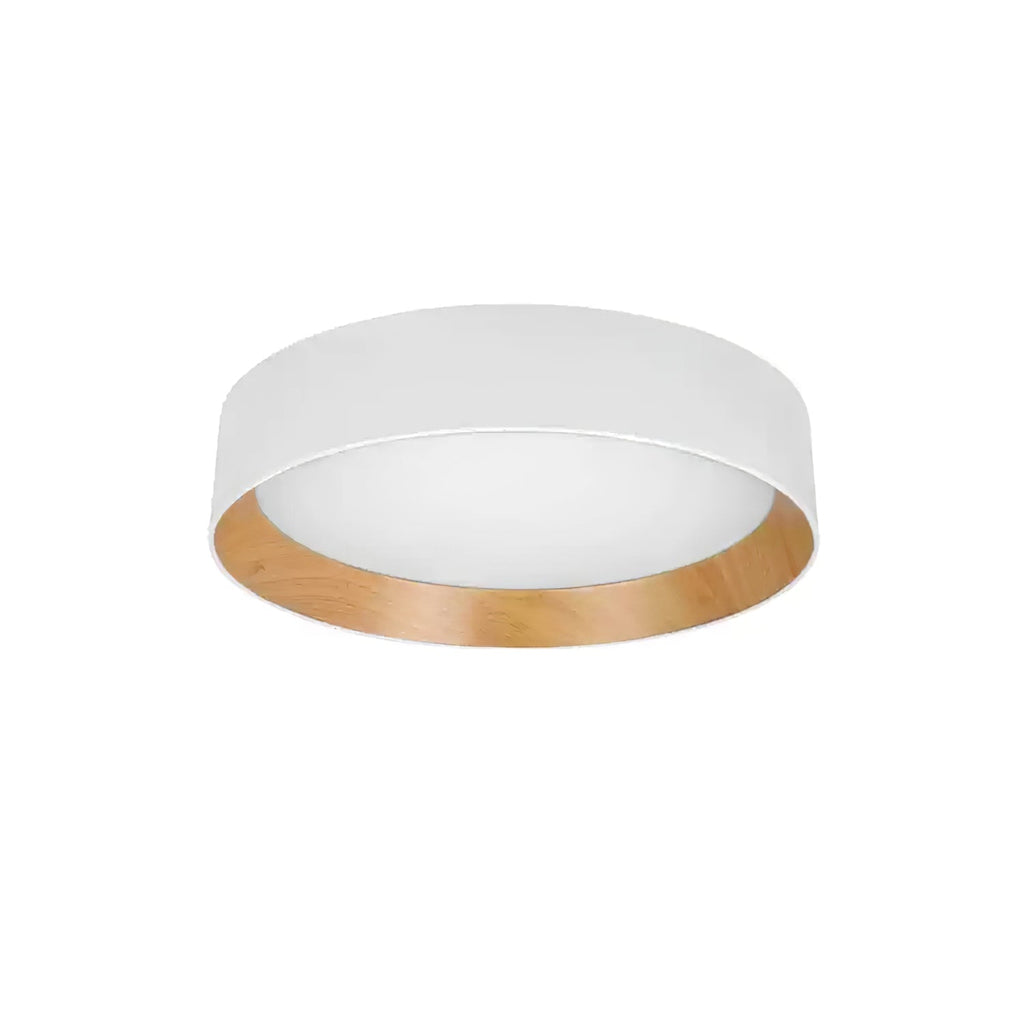 Caraeara Modern Minimalist Round Ceiling Lamp