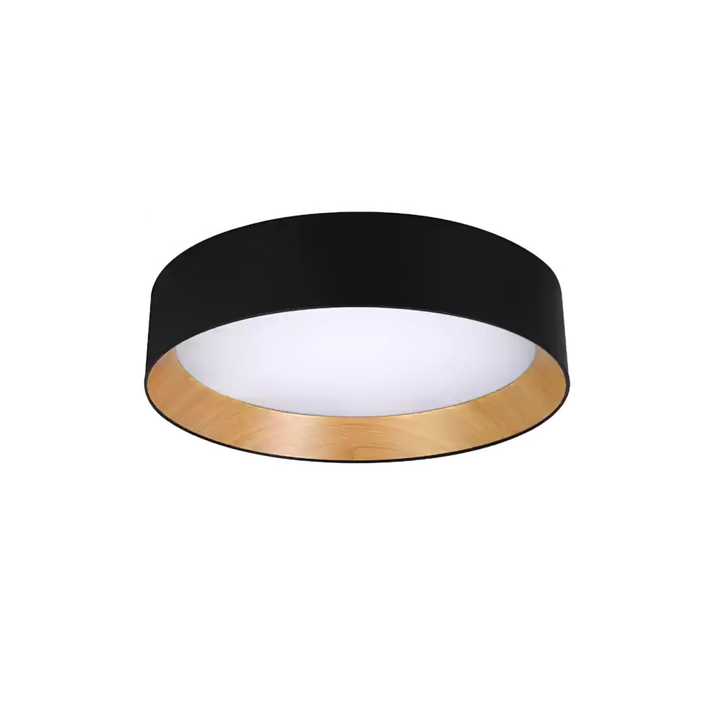 Caraeara Modern Minimalist Round Ceiling Lamp