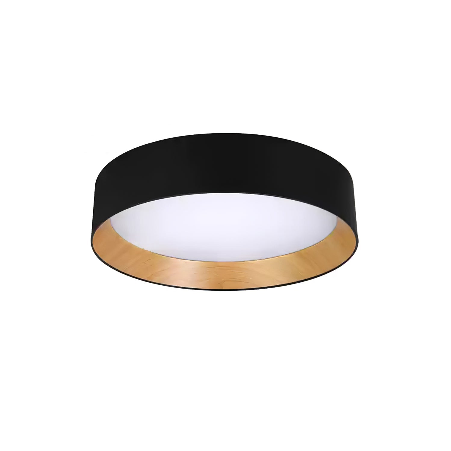 Caraeara Modern Minimalist Round Ceiling Lamp