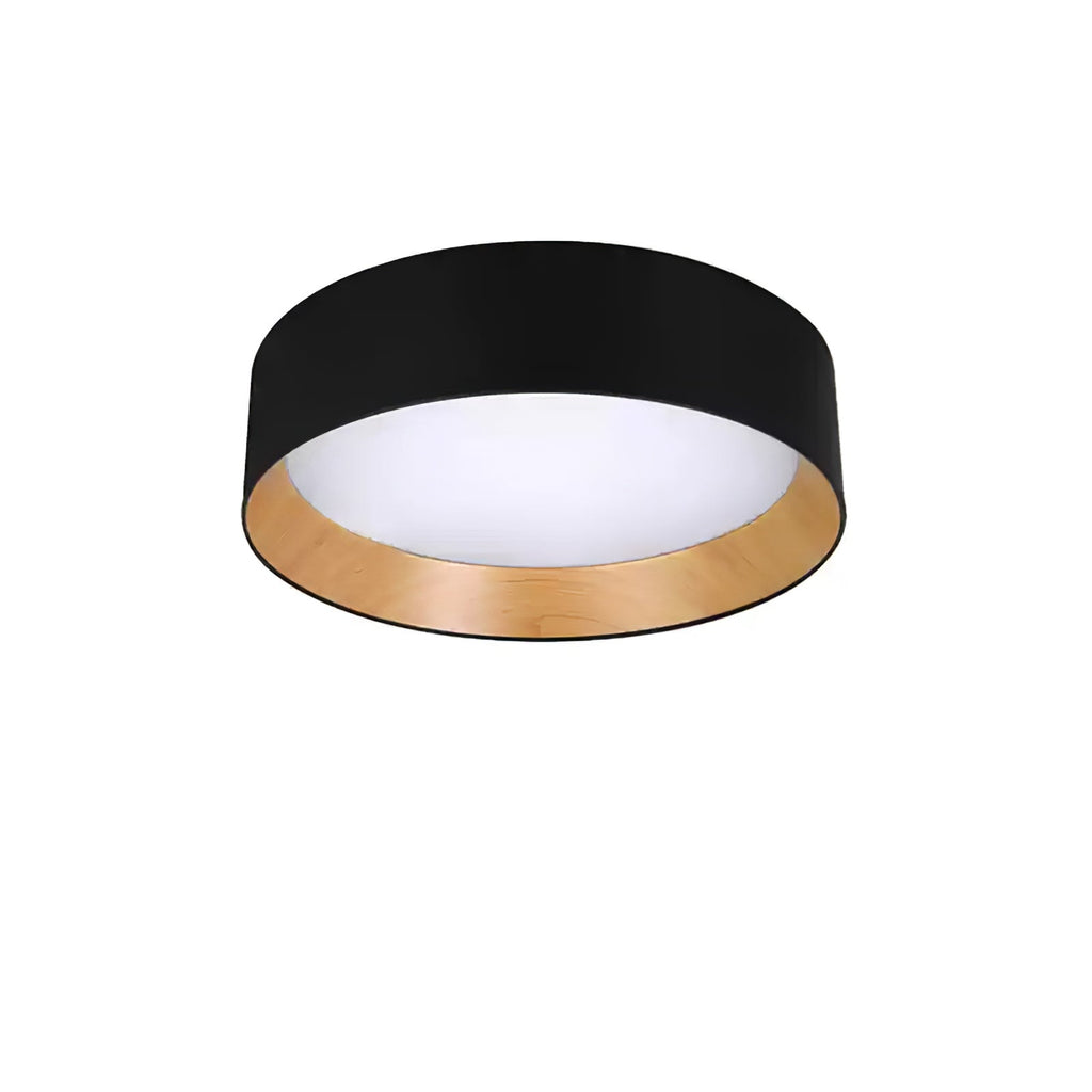 Caraeara Modern Minimalist Round Ceiling Lamp