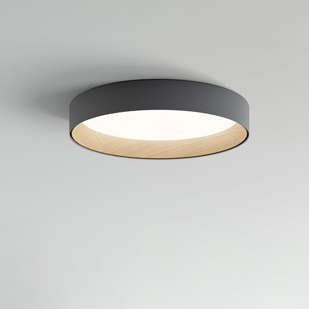Caraeara Modern Minimalist Round Ceiling Lamp