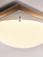 Astrain Glass & steel Ceiling Lamp