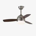 Caelan Modern Ceiling Fan Light