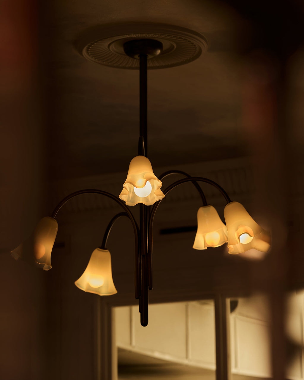 Aurmiros Individual Creativity Brass Glass Chandelier