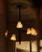 Aurmiros Individual Creativity Brass Glass Chandelier