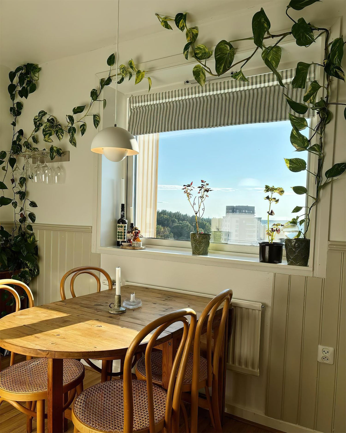 Flowerpot Plug In Pendant Lamp - image 13