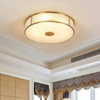 Avvynila Modern Minimalist Brass Glass CeIling Lamp