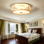 Avvynila Modern Minimalist Brass Glass CeIling Lamp