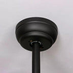 Zazoren Vintage Black Glass Ceiling Fan Light