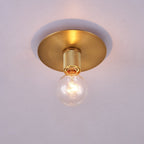 Aursorion Modern Minimalist Brass Ceiling Light