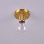 Aursorion Modern Minimalist Brass Ceiling Light