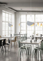 Cilirila Premium Art Glider Pendant Light