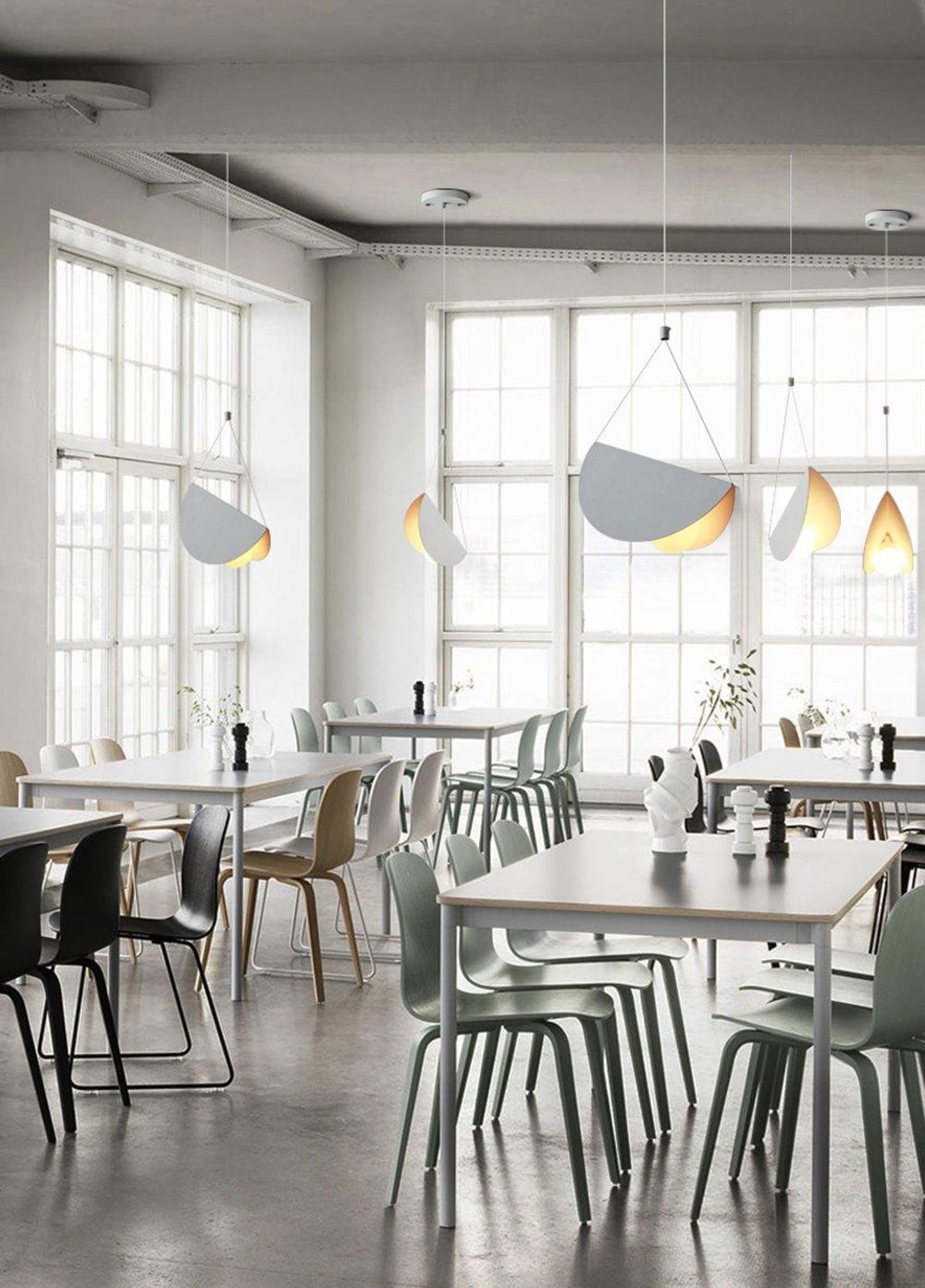Cilirila Premium Art Glider Pendant Light