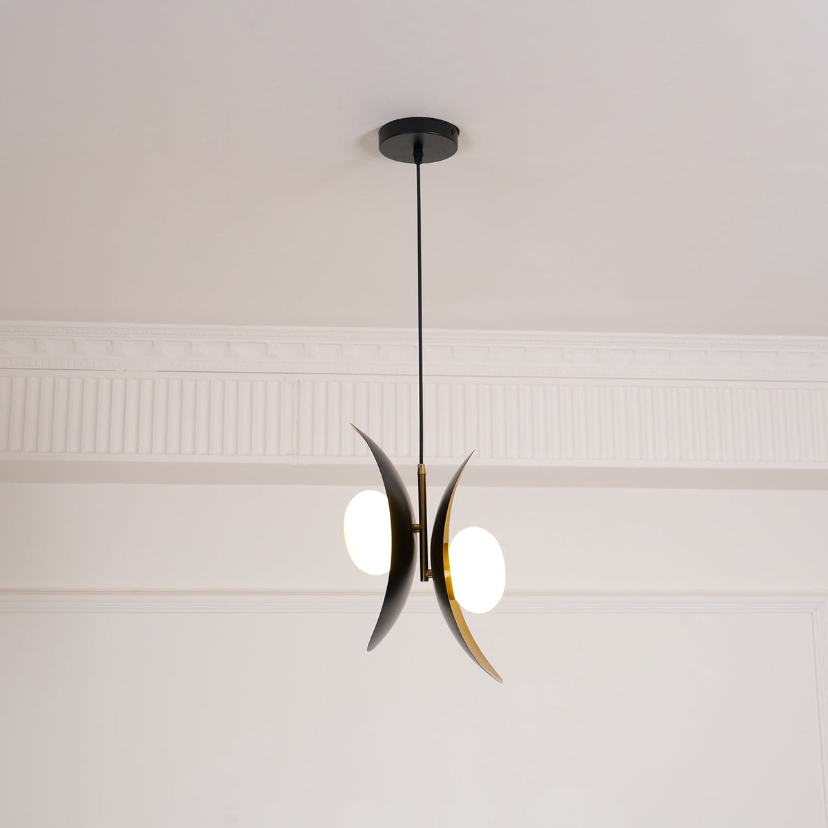 Fioran Contemporary Pendant Lamp