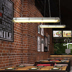 Avinor Modern Minimalist Pendant Light