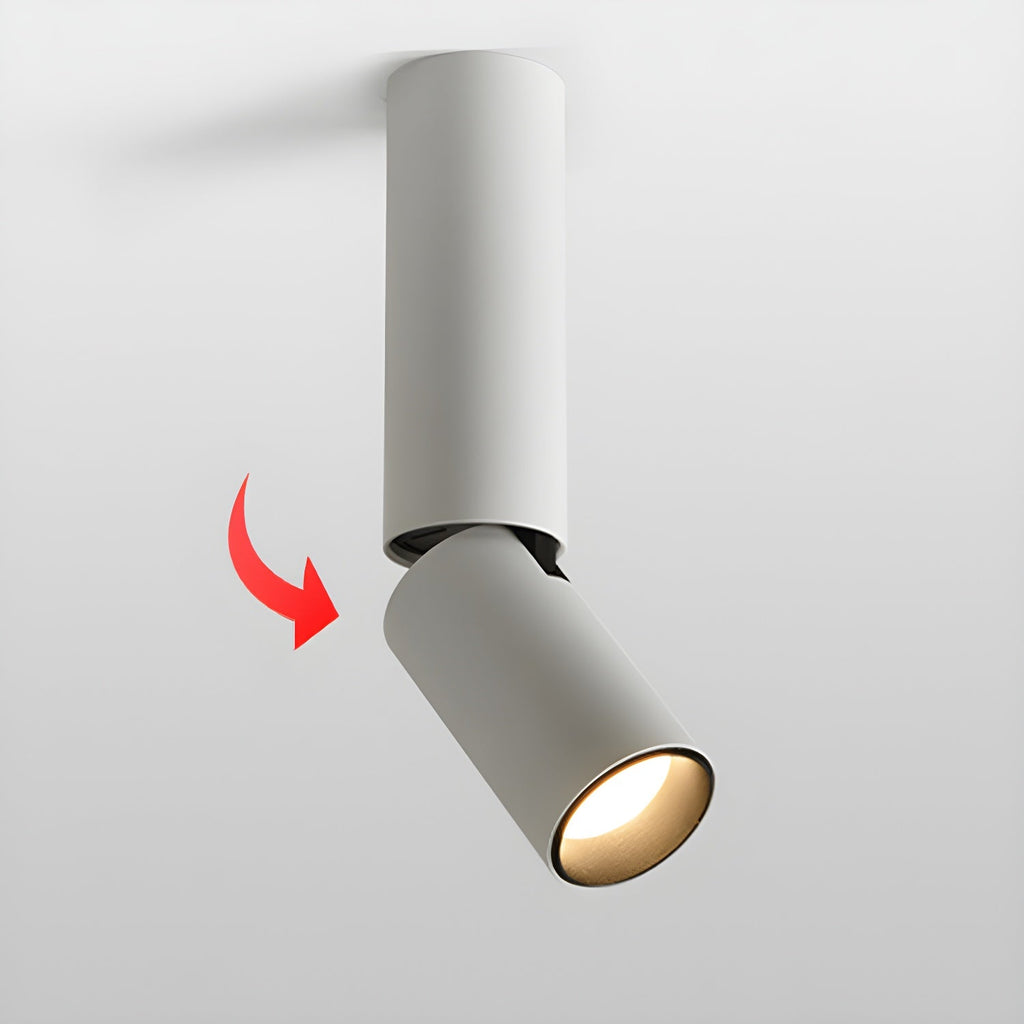 Elvynira Adjustable Surface Downlight Ceiling lamp