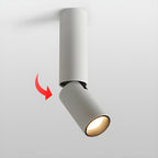 Elvynira Adjustable Surface Downlight Ceiling lamp