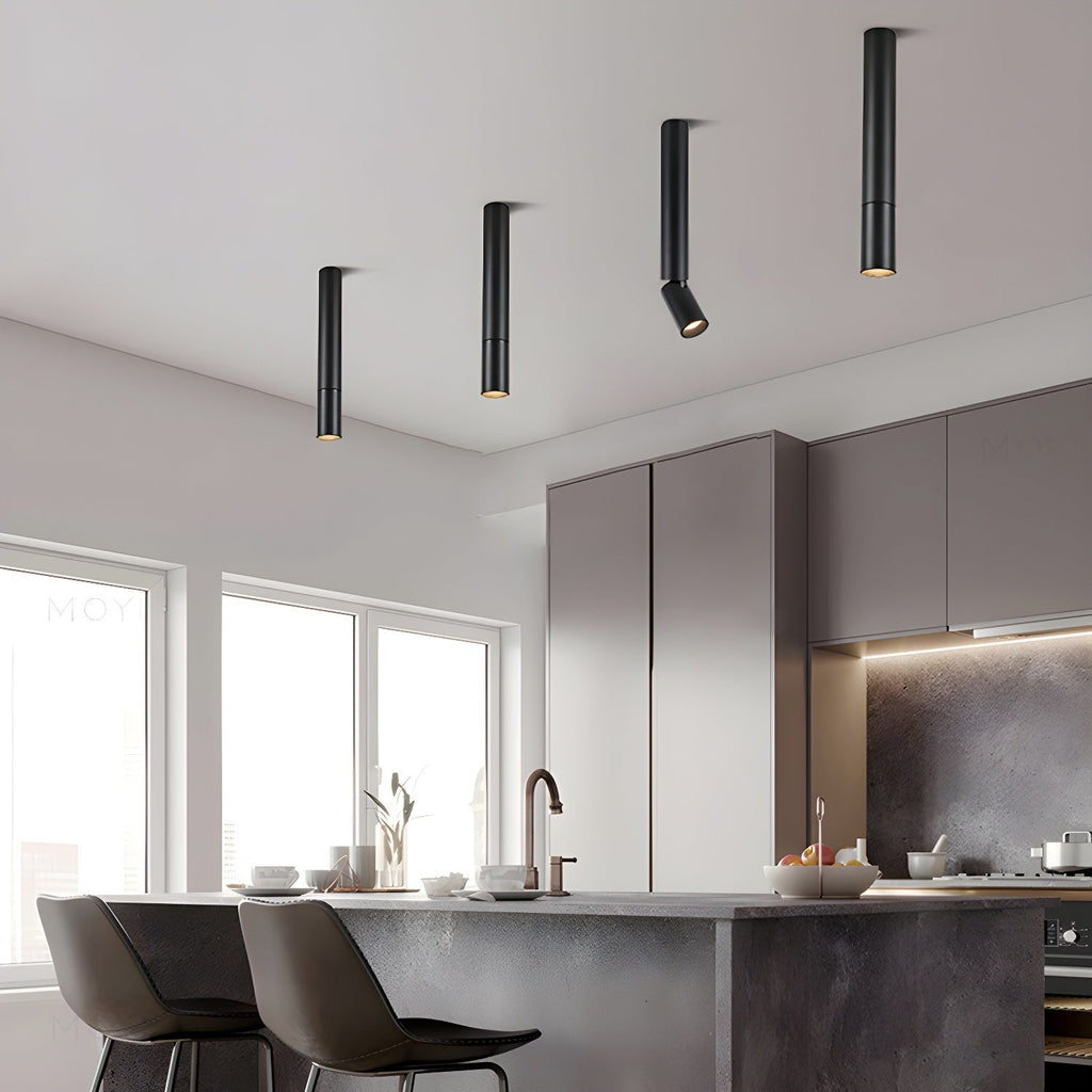 Elvynira Adjustable Surface Downlight Ceiling lamp
