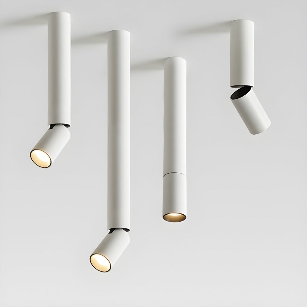 Elvynira Adjustable Surface Downlight Ceiling lamp