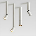 Elvynira Adjustable Surface Downlight Ceiling lamp