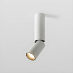 Elvynira Adjustable Surface Downlight Ceiling lamp