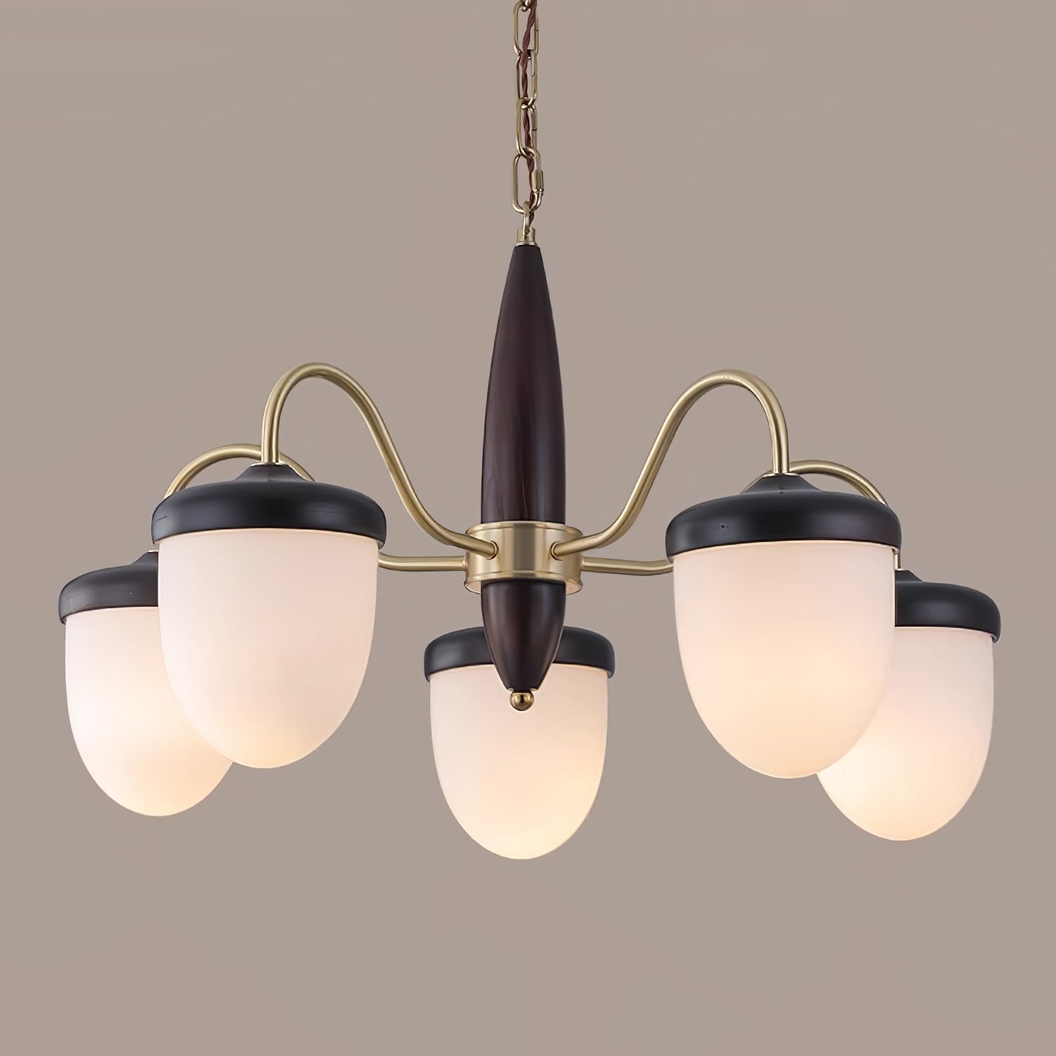 Aurora Chandelier Capsule Arm Rustic