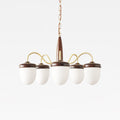 Aurora Chandelier Capsule Arm Rustic