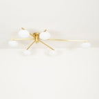 Valentina Modern Glass Black Ceiling Light