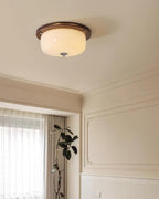 Ceiling Light Glass Flush Mount Modern Minimalist Walnut Brown