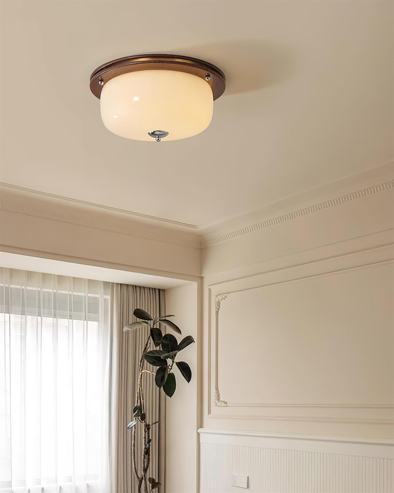 Ceiling Light Glass Flush Mount Modern Minimalist Walnut Brown