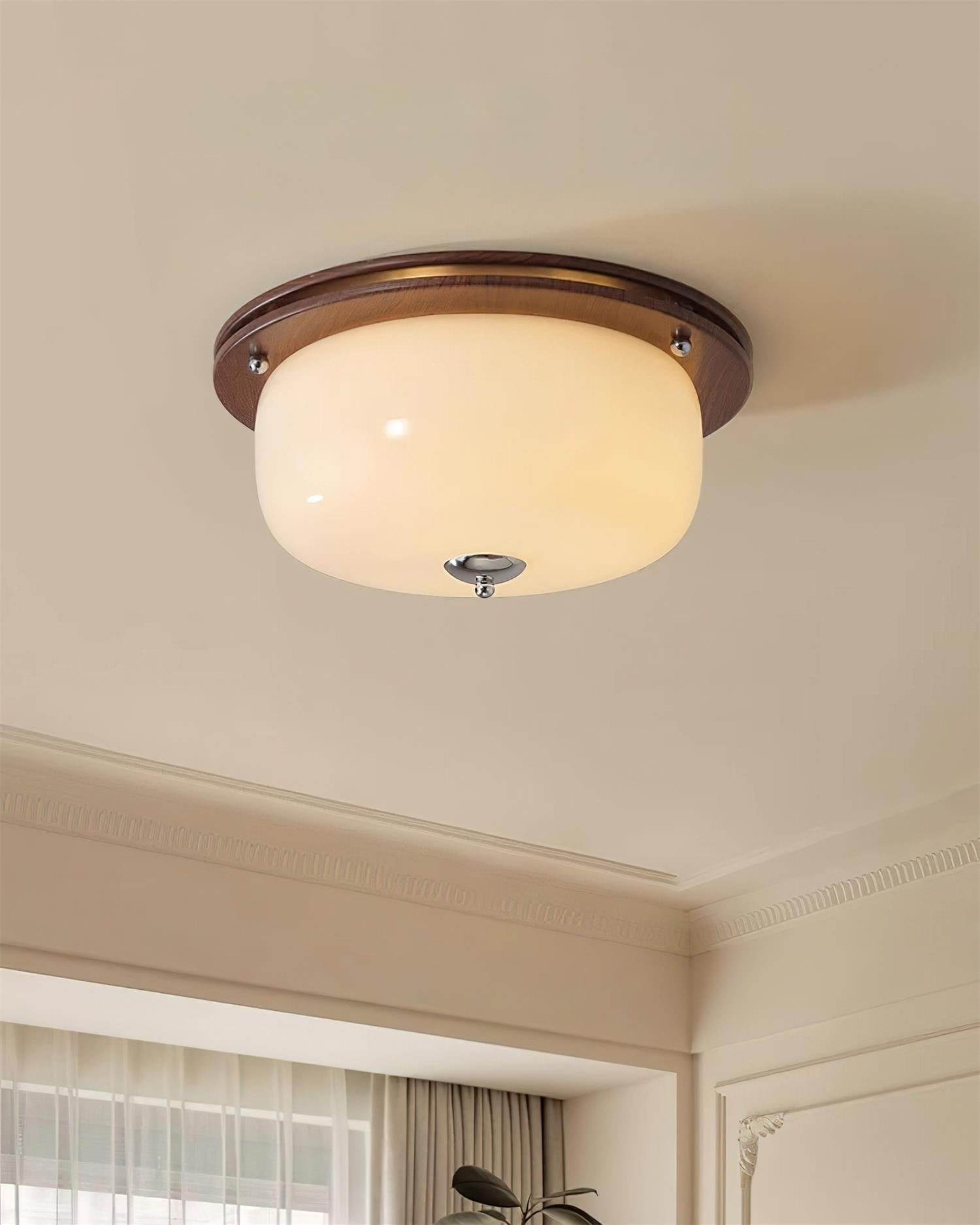 Ceiling Light Glass Flush Mount Modern Minimalist Walnut Brown