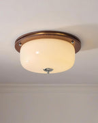 Ceiling Light Glass Flush Mount Modern Minimalist Walnut Brown