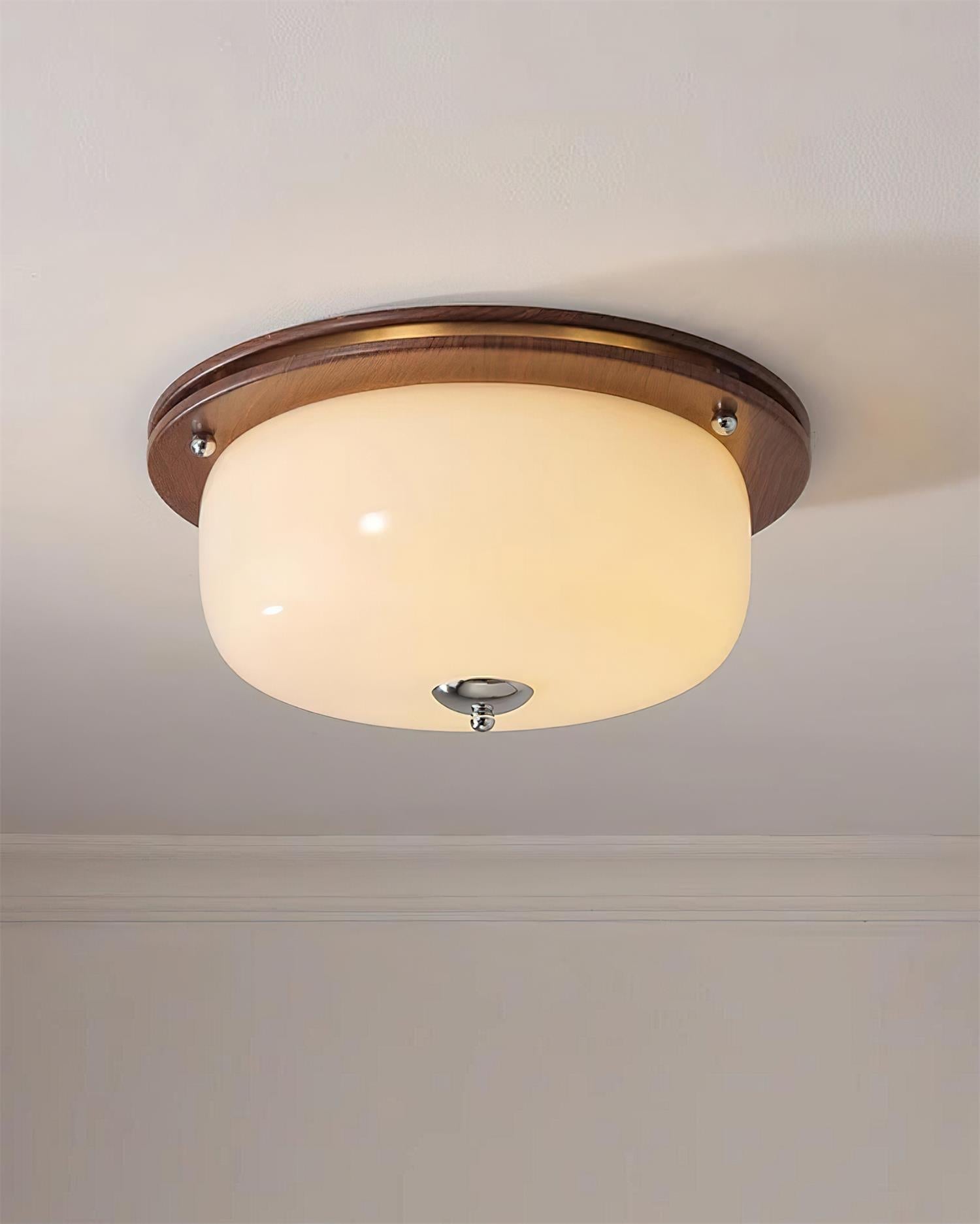 Ceiling Light Glass Flush Mount Modern Minimalist Walnut Brown