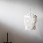 Avnoran Premium Nordic Art Plastic Pendant Lamp