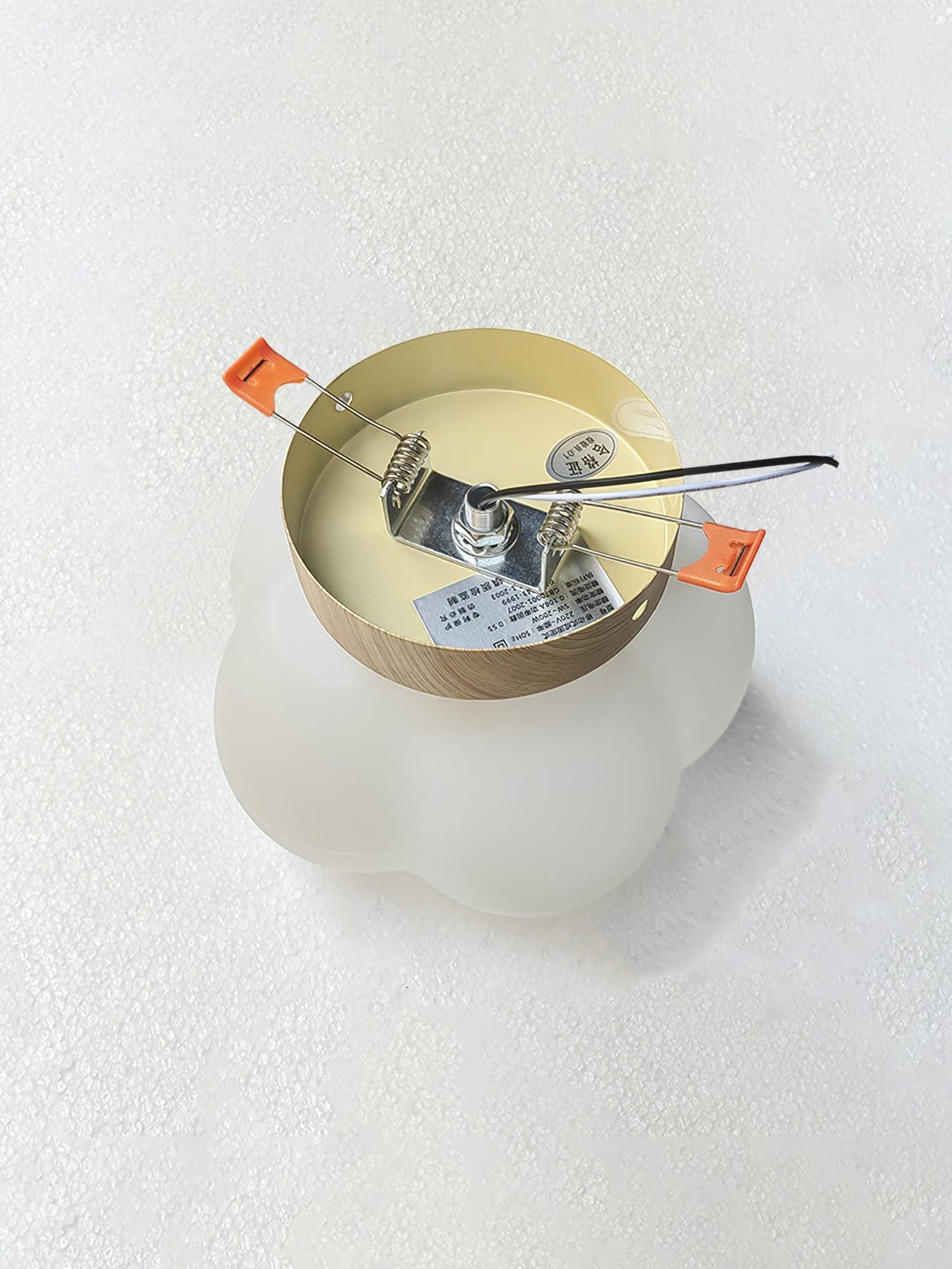 Cinorisra Nordic Art Flower Mini Ceiling Lamp
