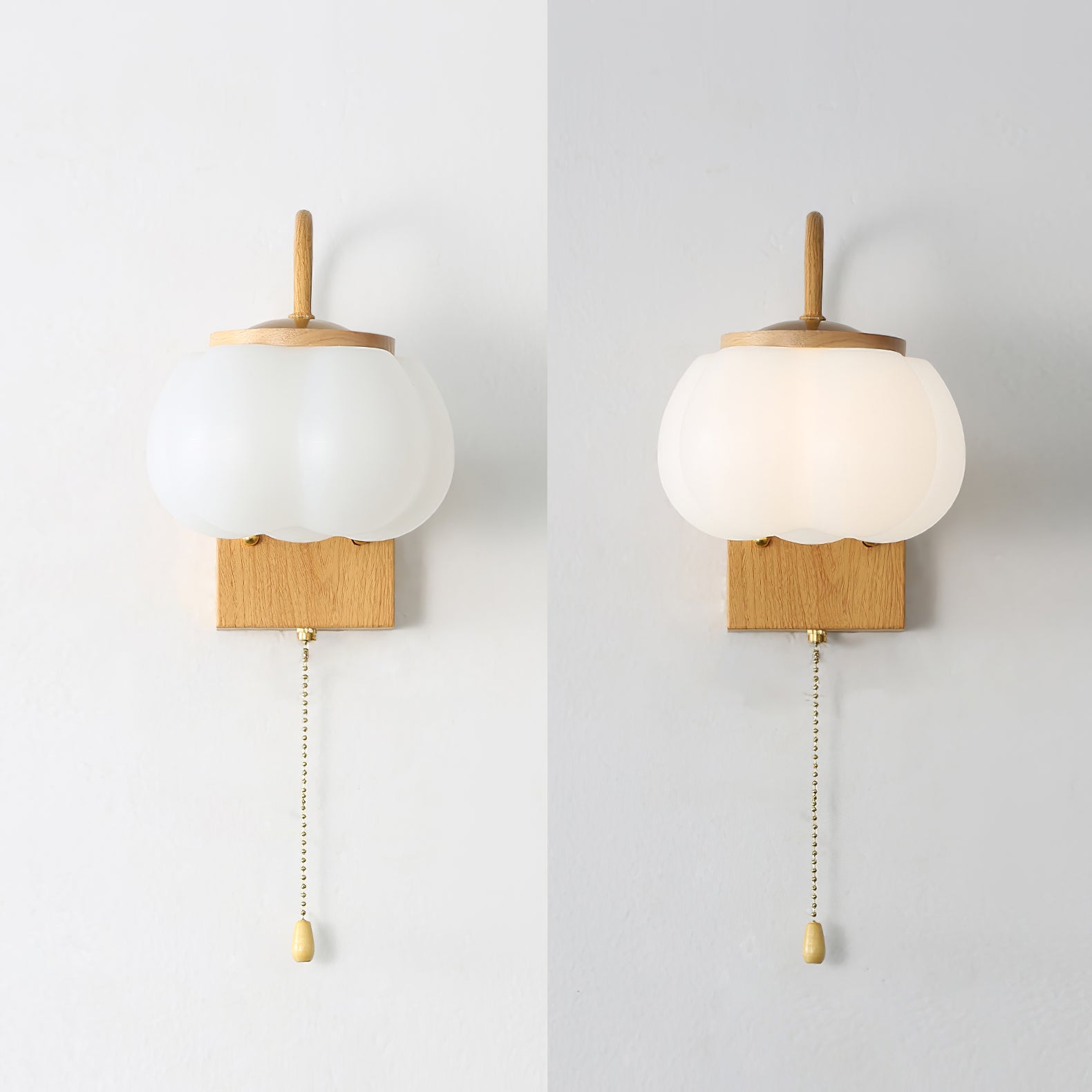 Eurrinis Elegance Flower Plastic Wall Lamp
