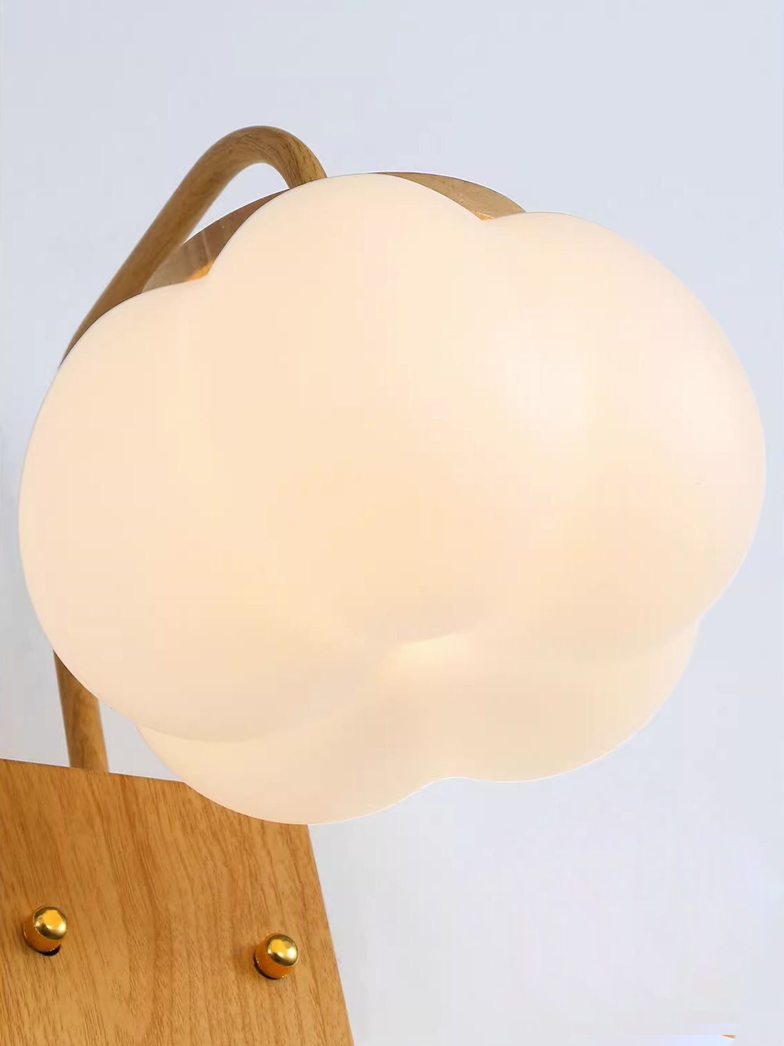 Eurrinis Elegance Flower Plastic Wall Lamp